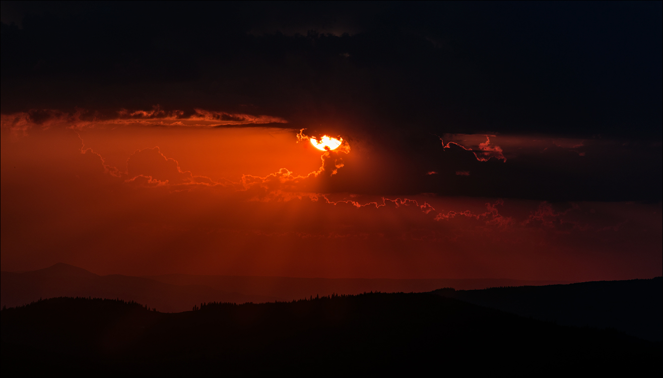 HasmasSinguratica 20180601 3120