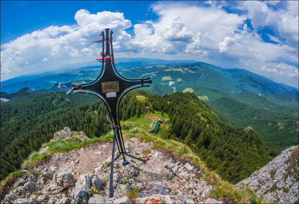 HasmasSinguratica 20180601 3137