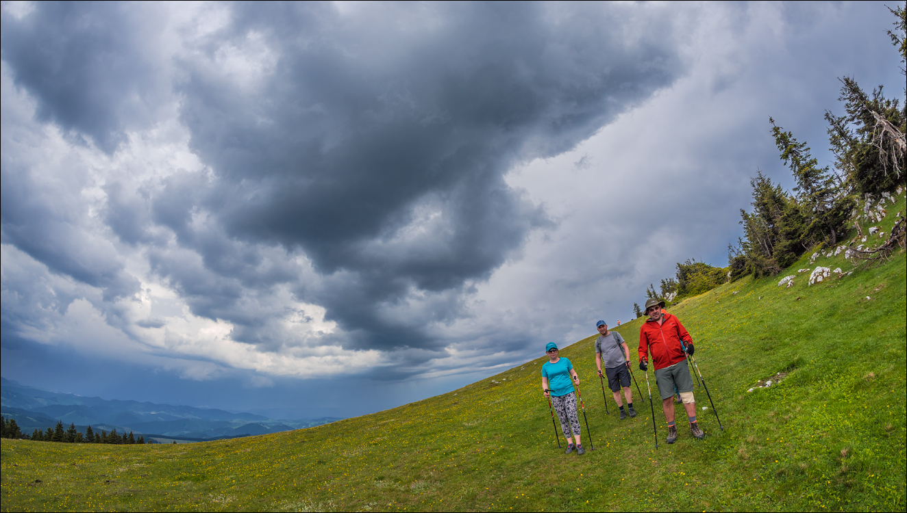 HasmasSinguratica 20180601 3158