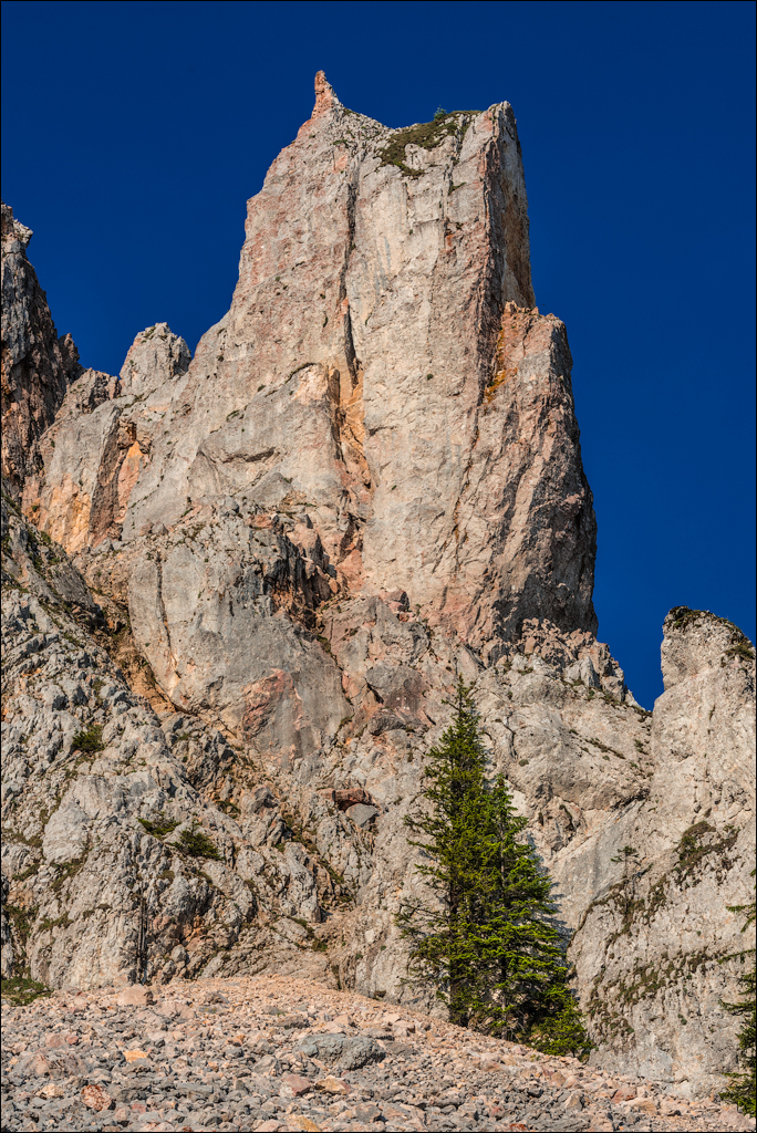 HasmasSinguratica 20180601 3182