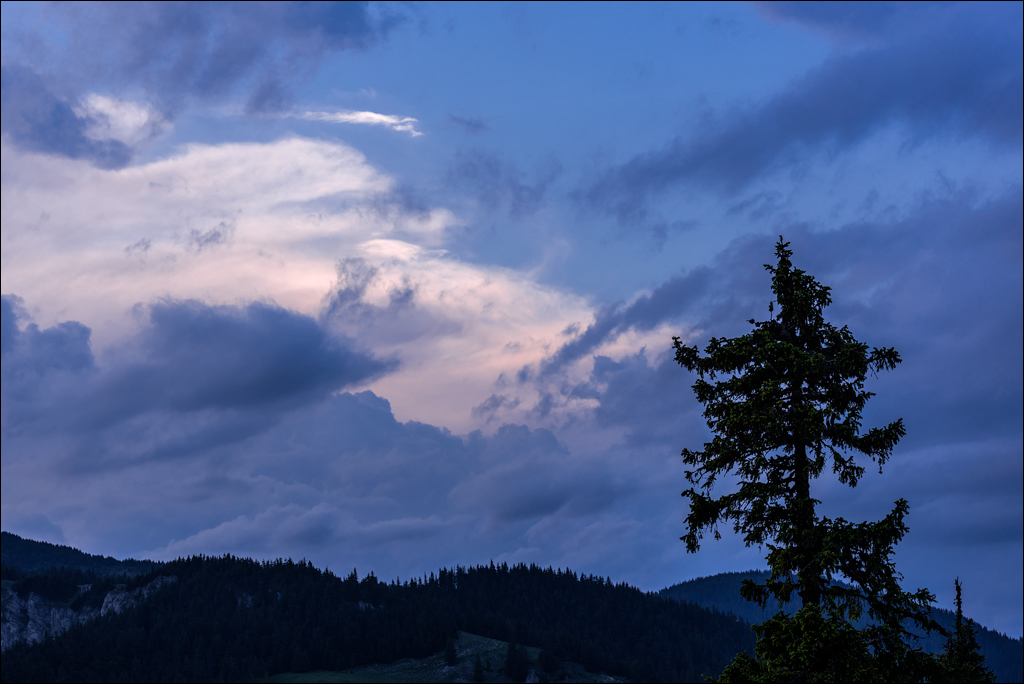 HasmasSinguratica 20180601 3190