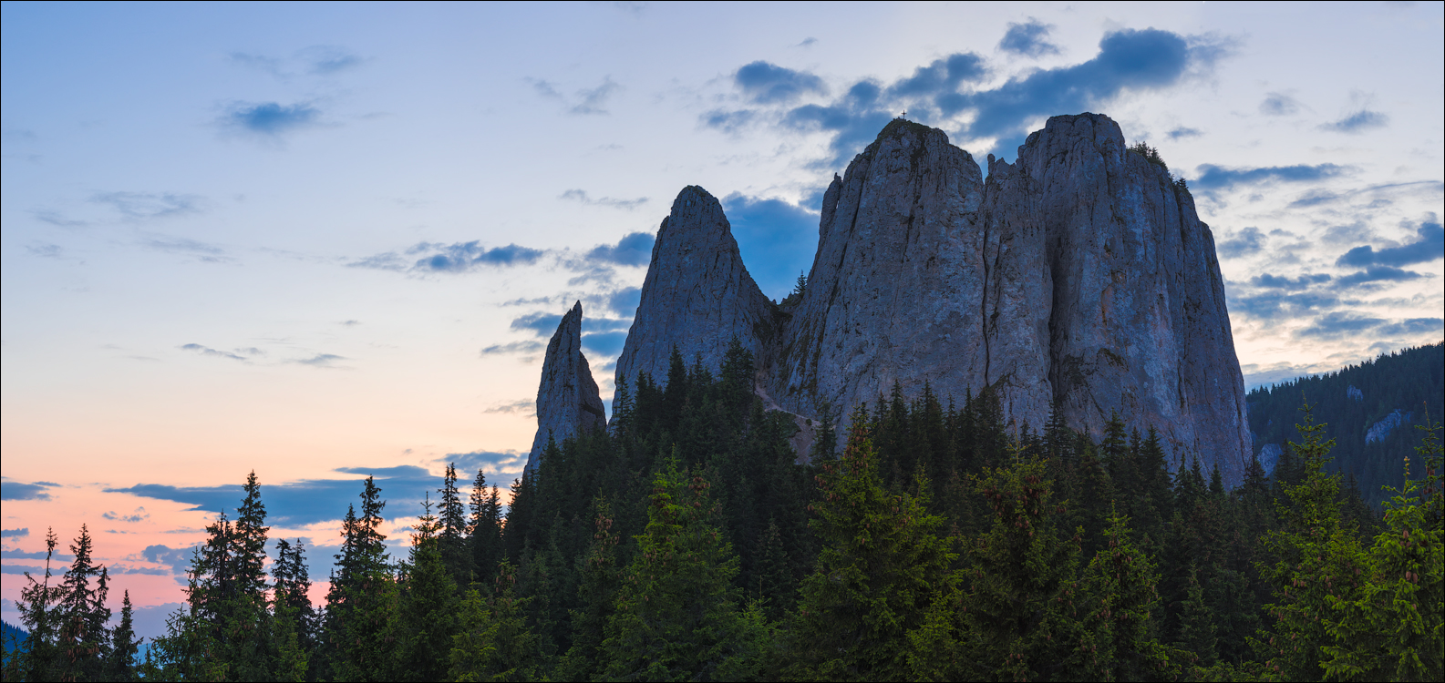 HasmasSinguratica 20180601 3193