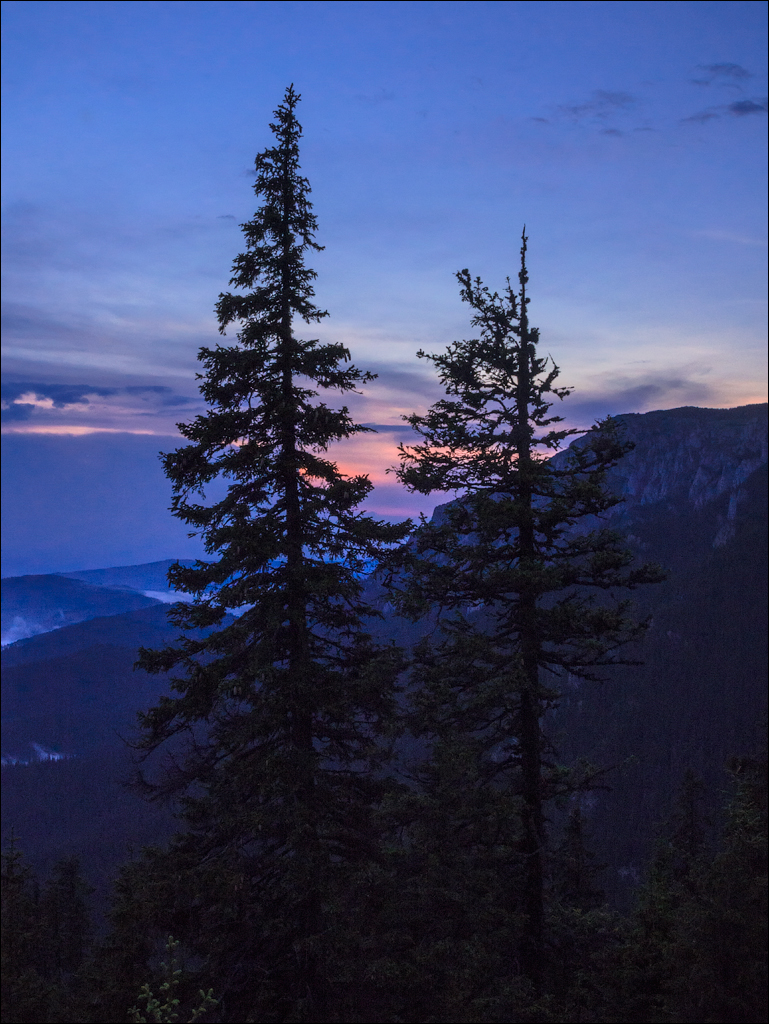 HasmasSinguratica 20180601 3198