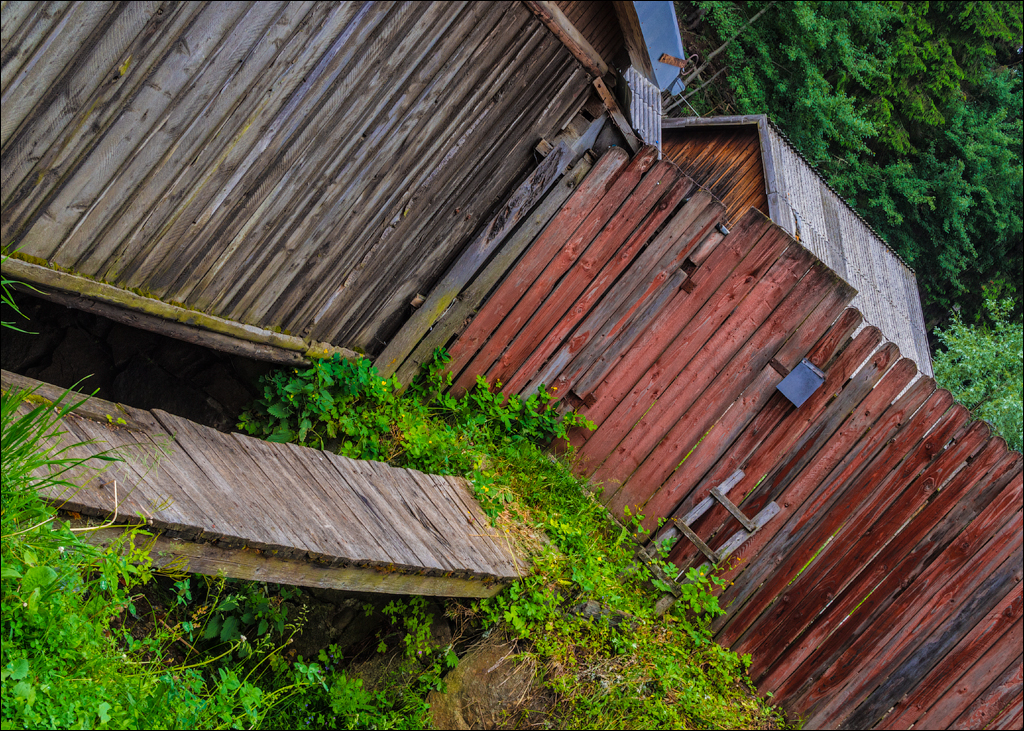 HasmasSinguratica 20180601 3216