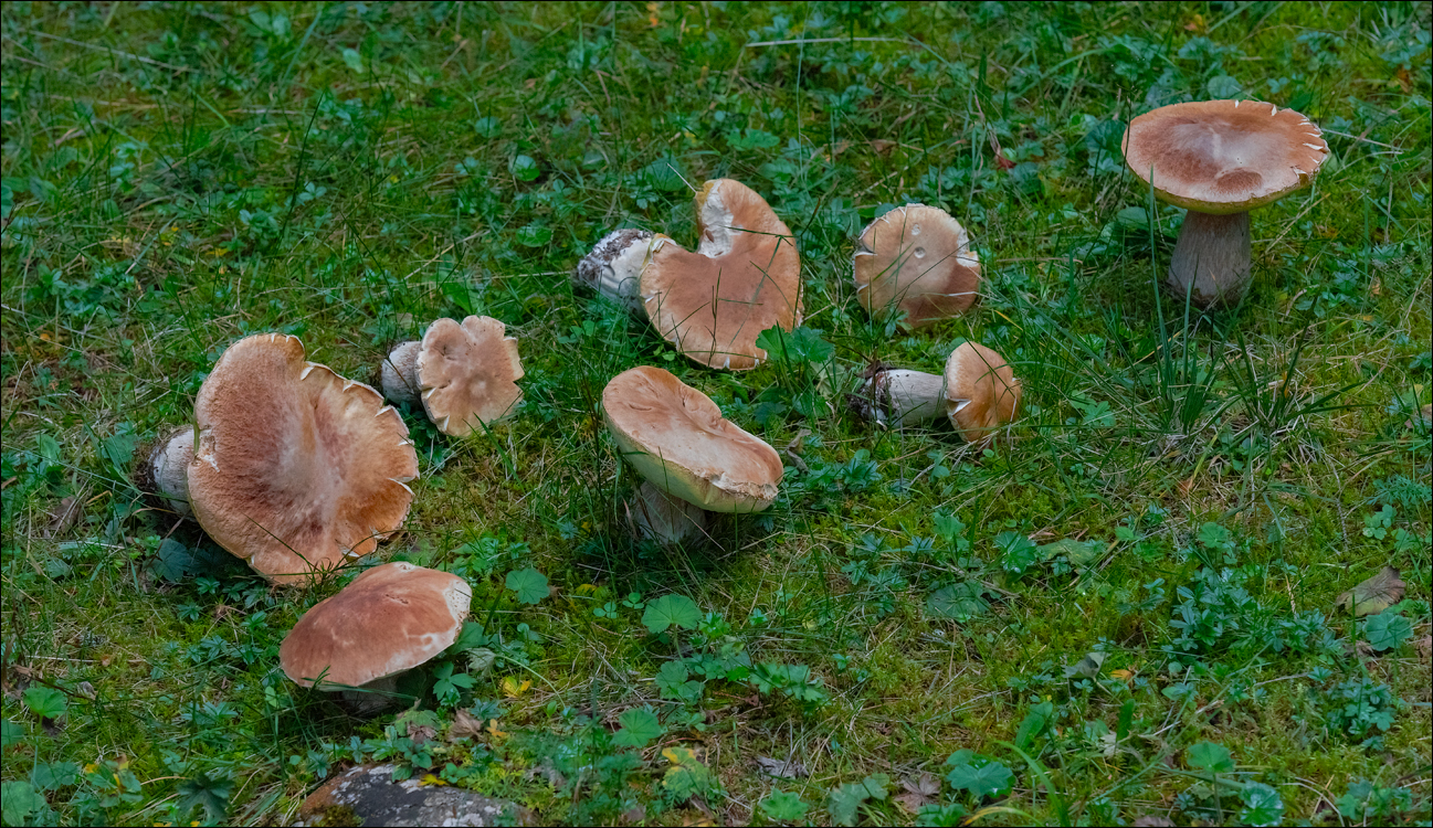 LacuRosu 27 29sep2022 128