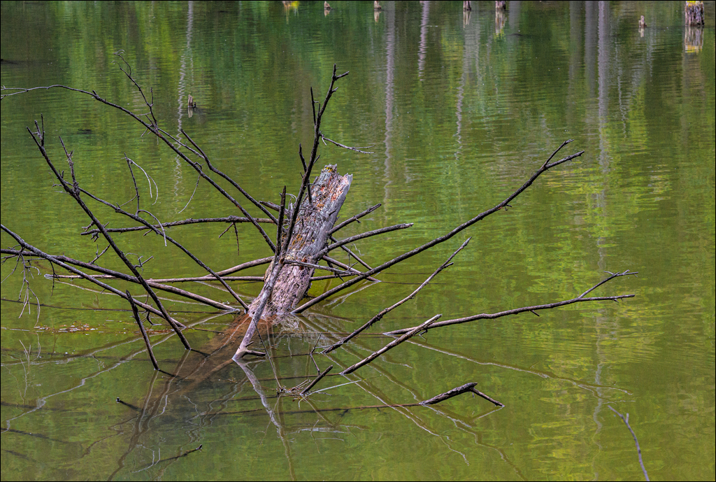 LaculRosu PiatraNeamt 27 31aug2021 118