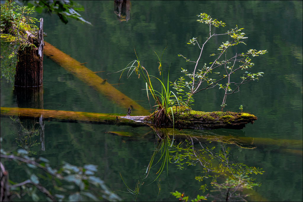 LaculRosu PiatraNeamt 27 31aug2021 131