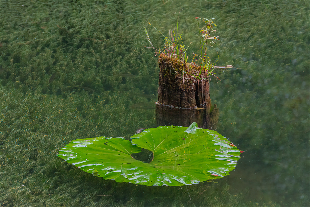 LaculRosu PiatraNeamt 27 31aug2021 138