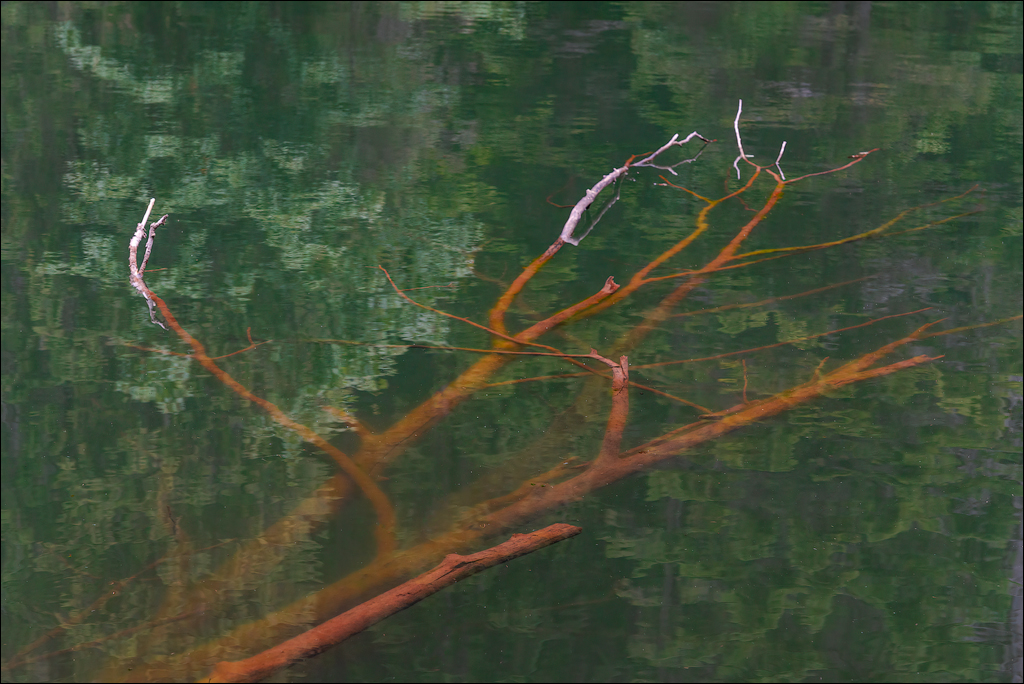 LaculRosu PiatraNeamt 27 31aug2021 139