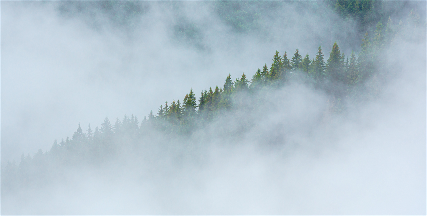 LaculRosu PiatraNeamt 27 31aug2021 180