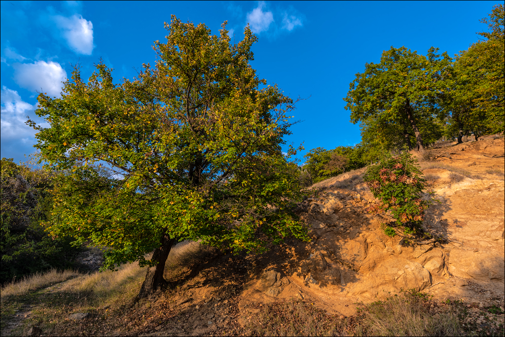 Munti Macin 121719 316