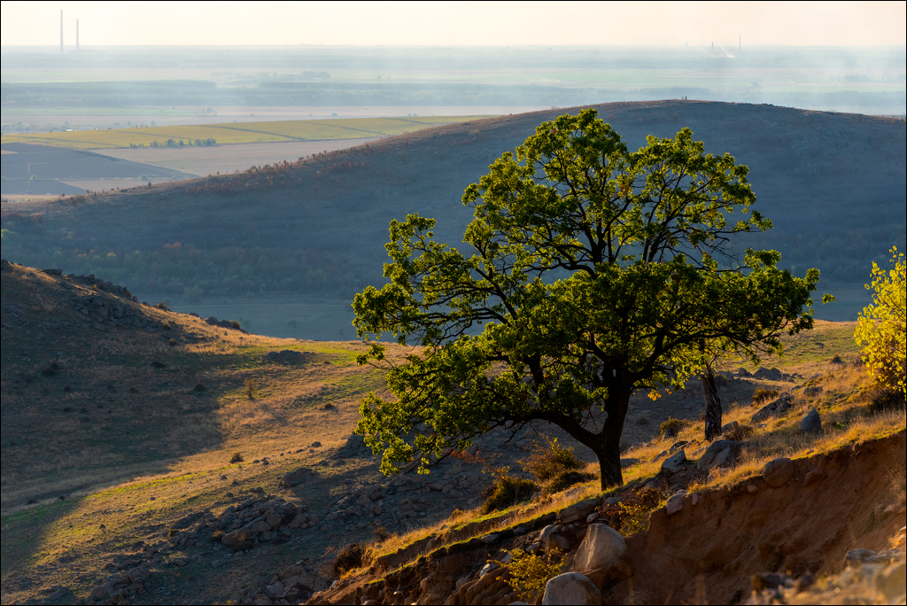 Munti Macin 121719 319