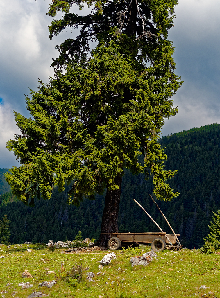 PiatraCraiului2016031