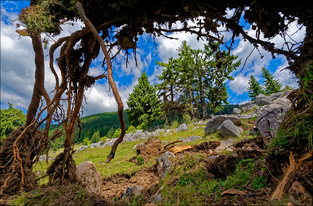 PiatraCraiului2016034