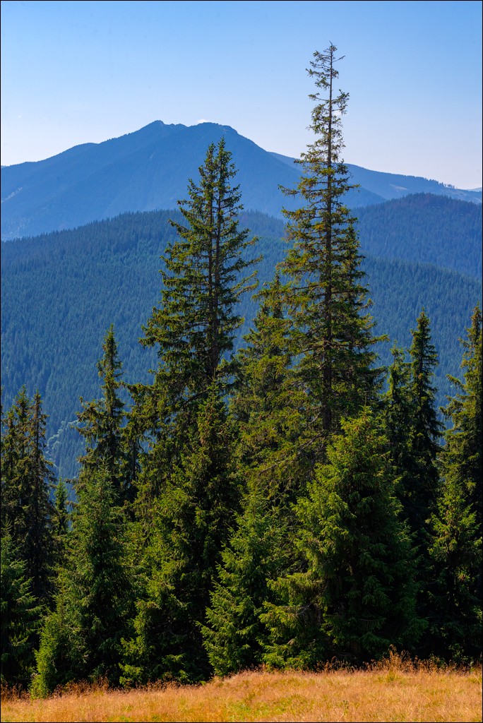 Rarau 25 26aug2023 105