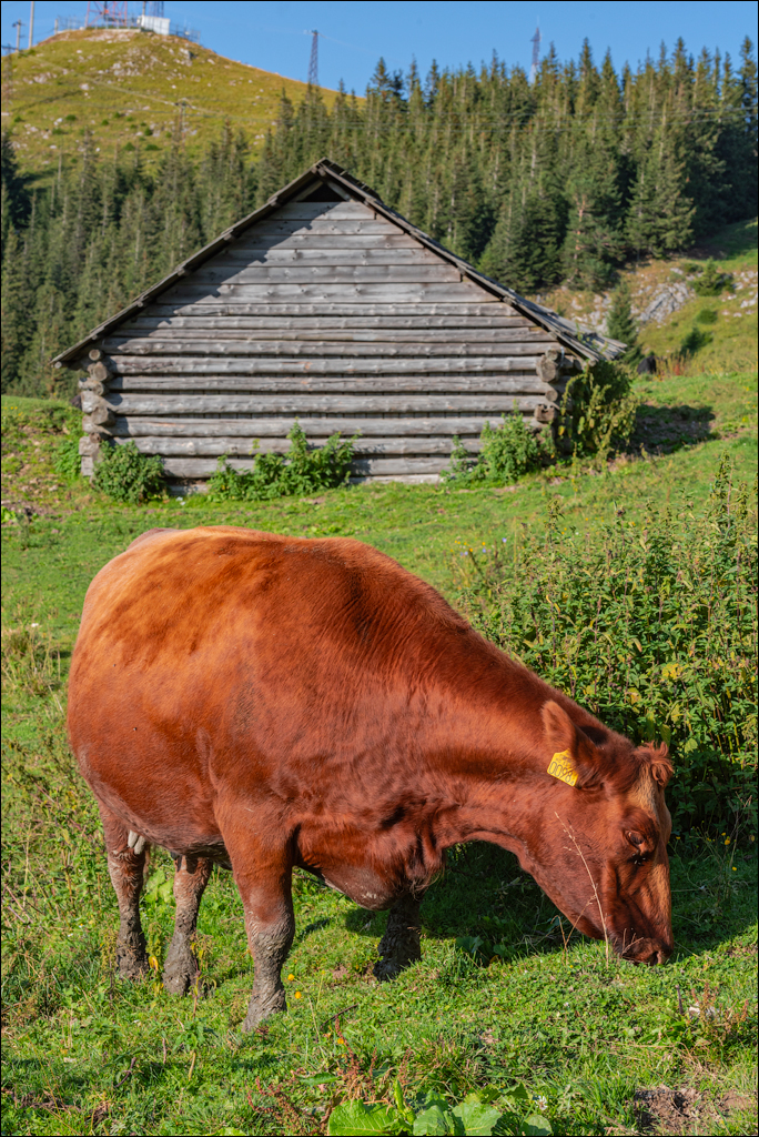 Rarau 25 26aug2023 157