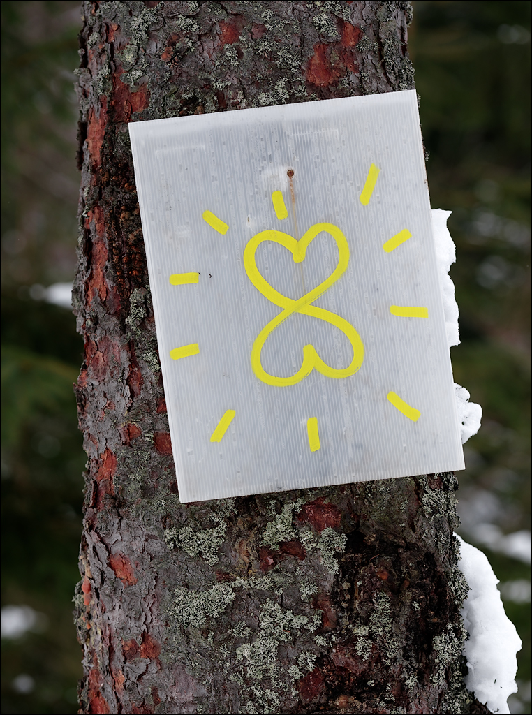 PetrosuMare 20172017020715