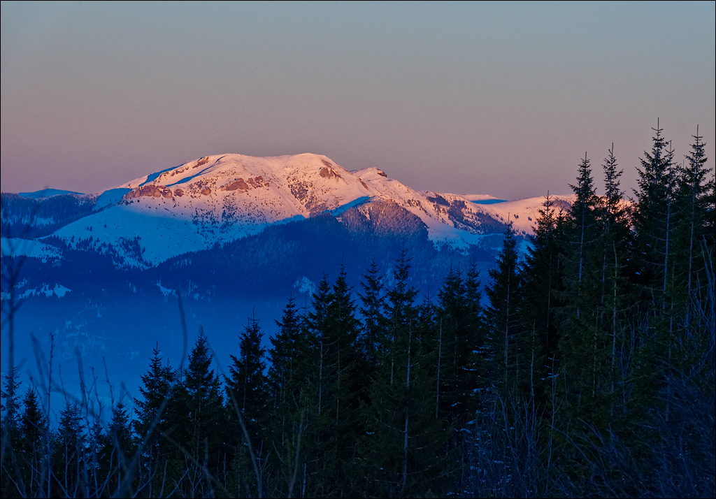 PetrosuMare 20172017020778