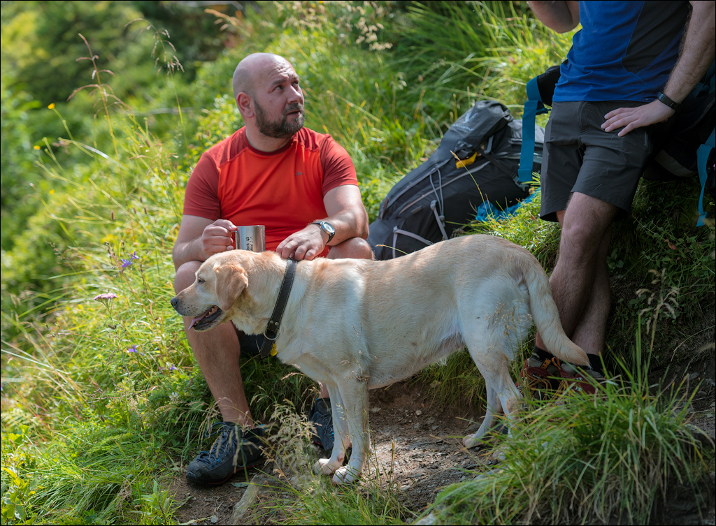 Rodnei Petrosu 20180805018
