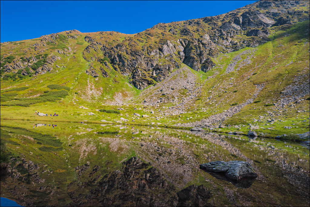 Rodnei Petrosu 20180805026