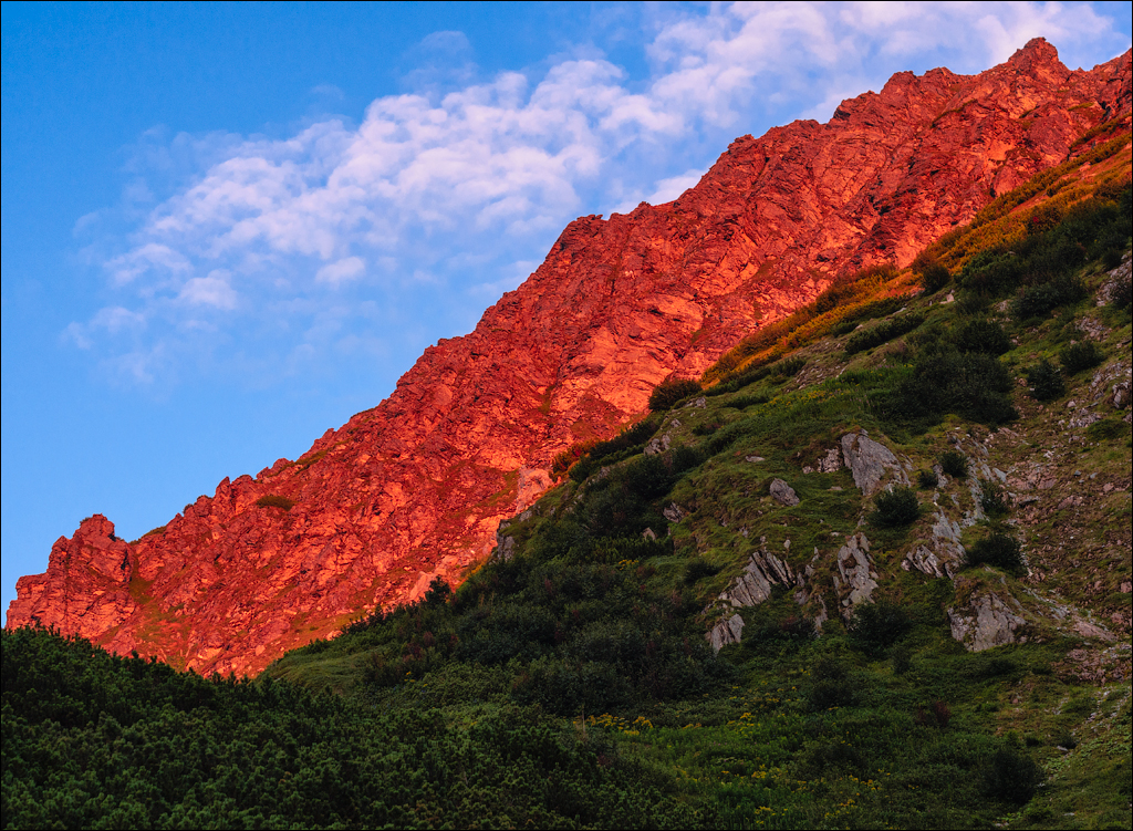 Rodnei Petrosu 20180805042