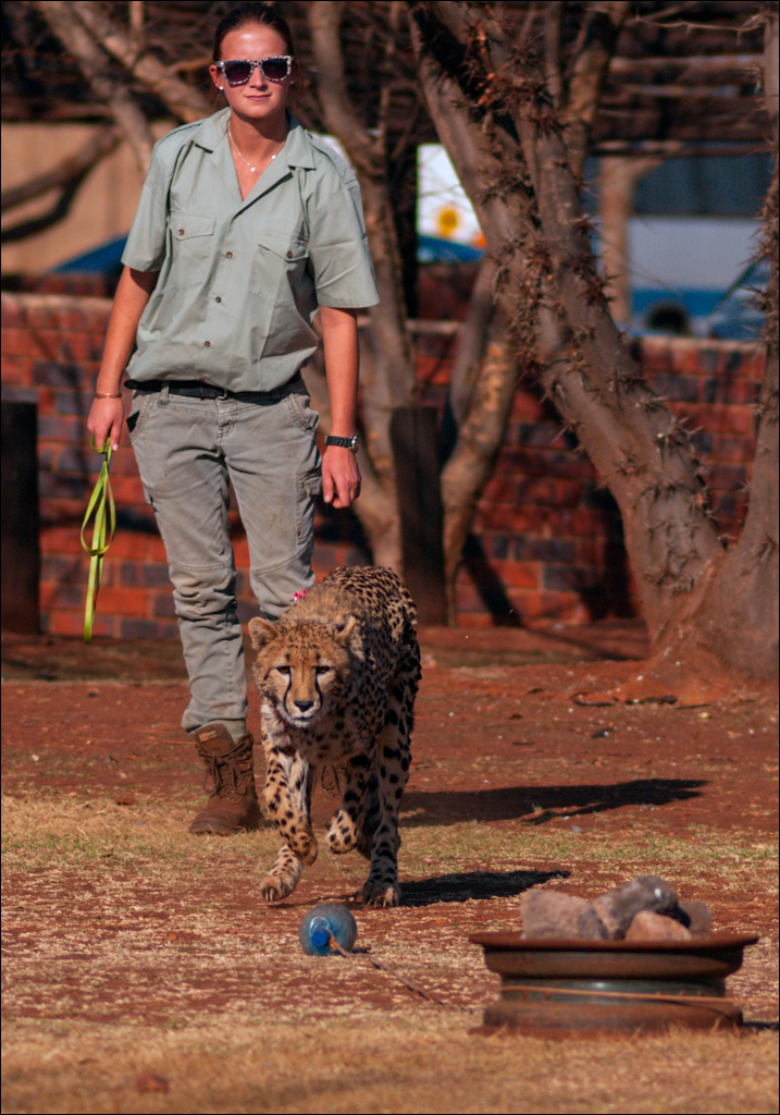 Pretoria 1 20150808063