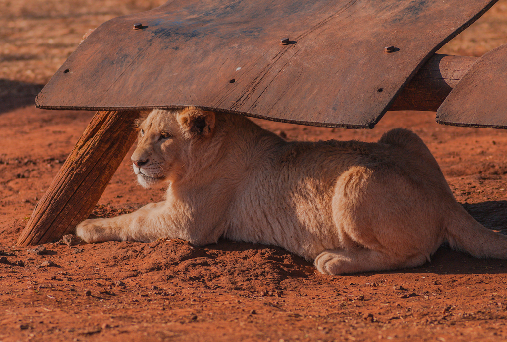 Pretoria 1 20150808072