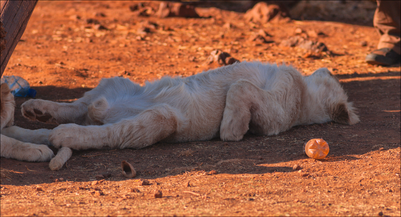 Pretoria 1 20150808075