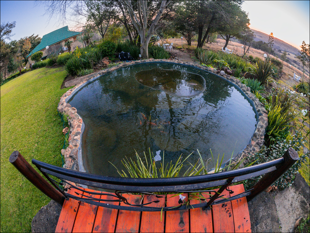 Pretoria 1 20150808114