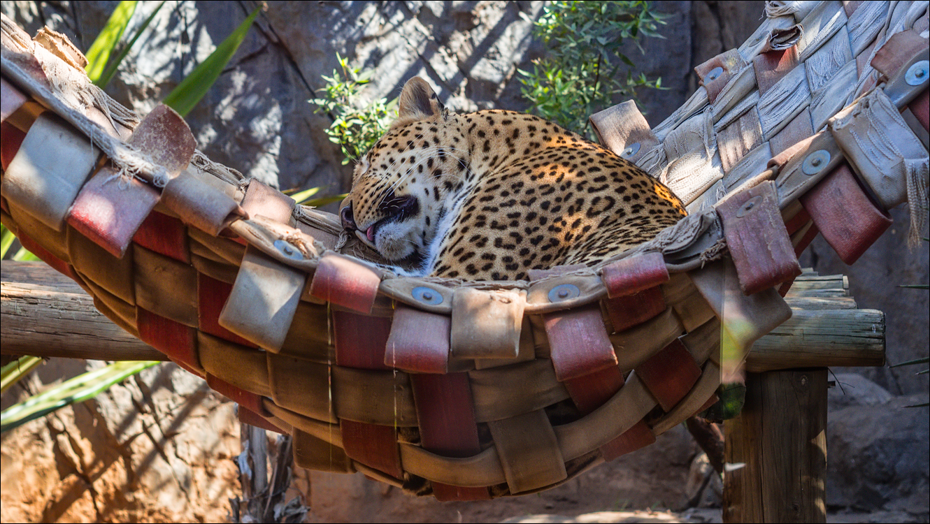 Pretoria 3 20150808044