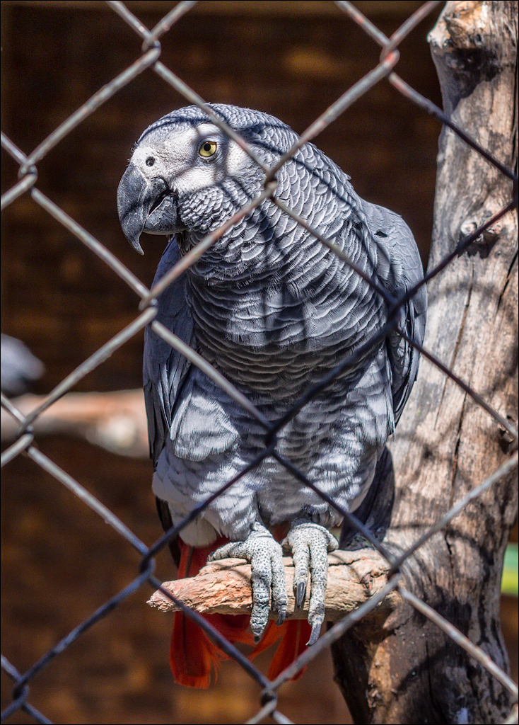 Pretoria 3 20150808046