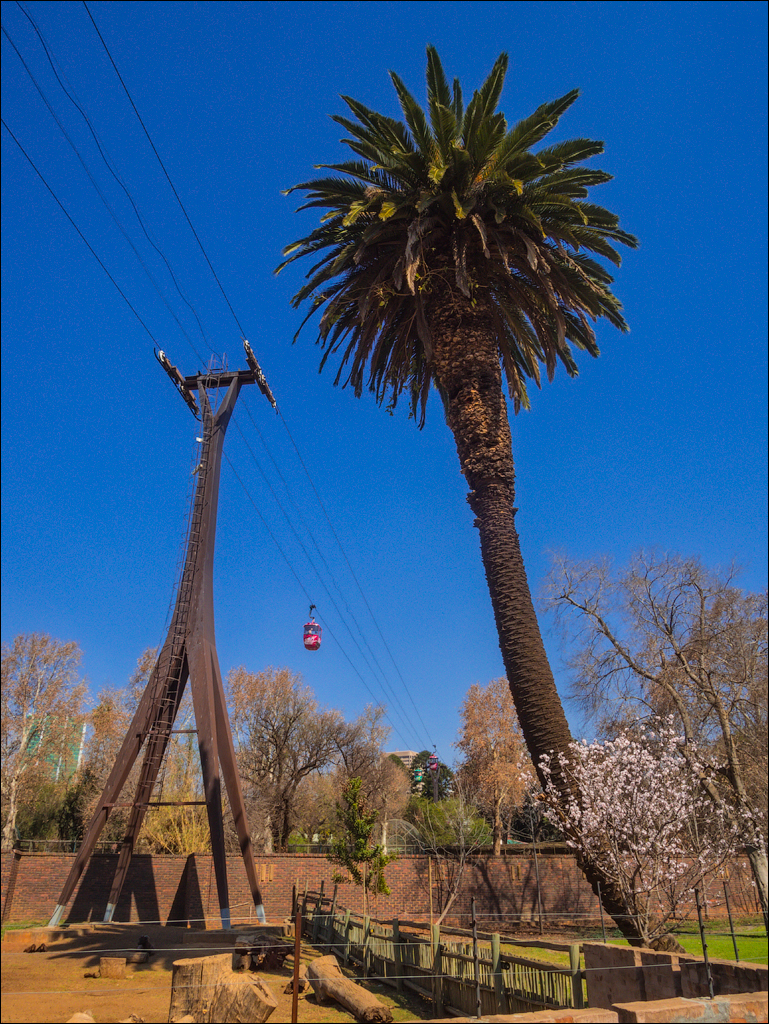 Pretoria 3 20150808055