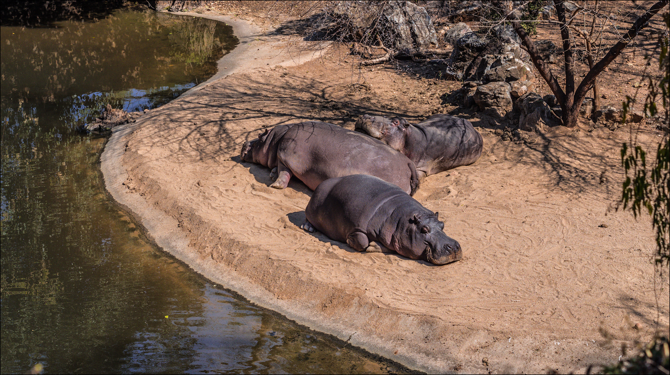 Pretoria 3 20150808060