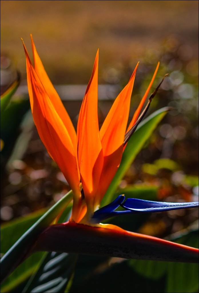 Pretoria 3 20150808070