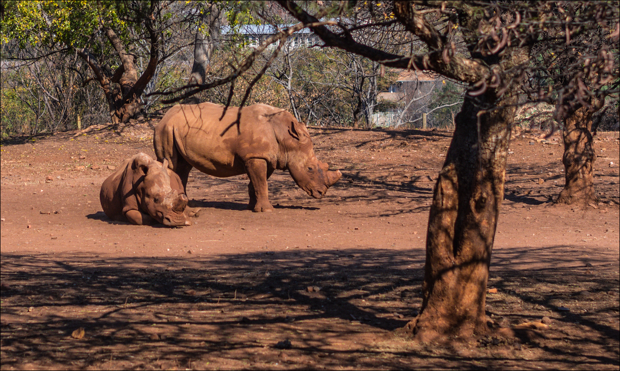 Pretoria 3 20150808073