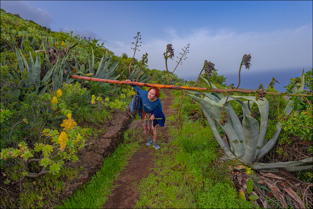 La Palma 27 28dec2022 160