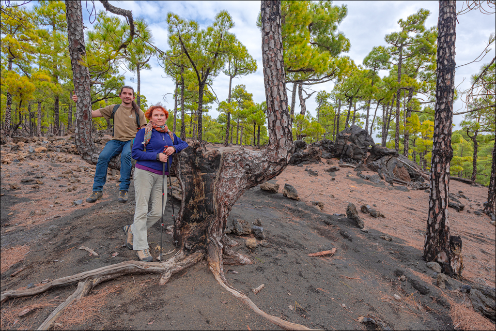 La Palma 27 28dec2022 180