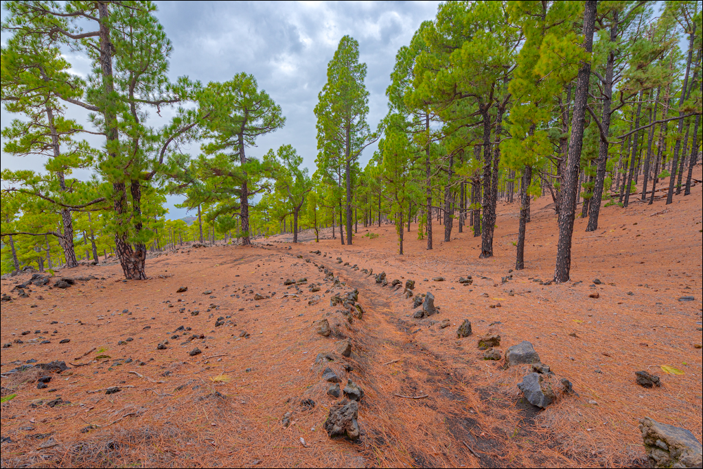 La Palma 27 28dec2022 181