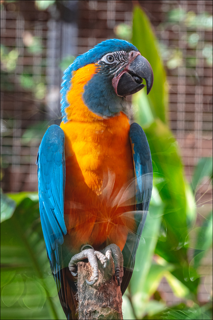 PuertoDeLaCruz 31dec 01jan2023176