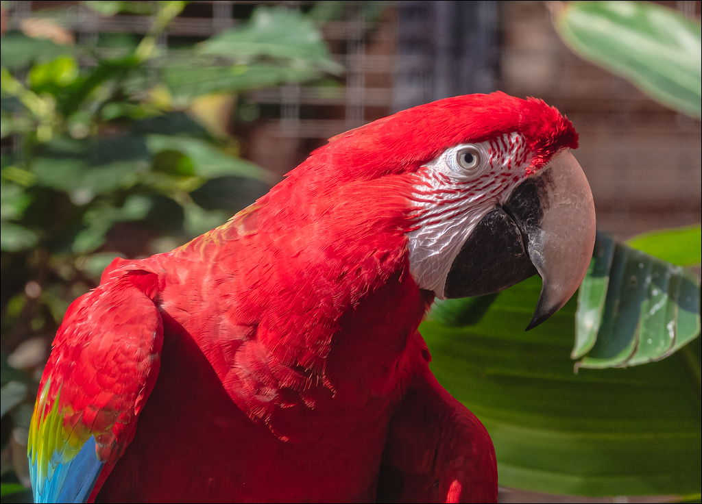 PuertoDeLaCruz 31dec 01jan2023181
