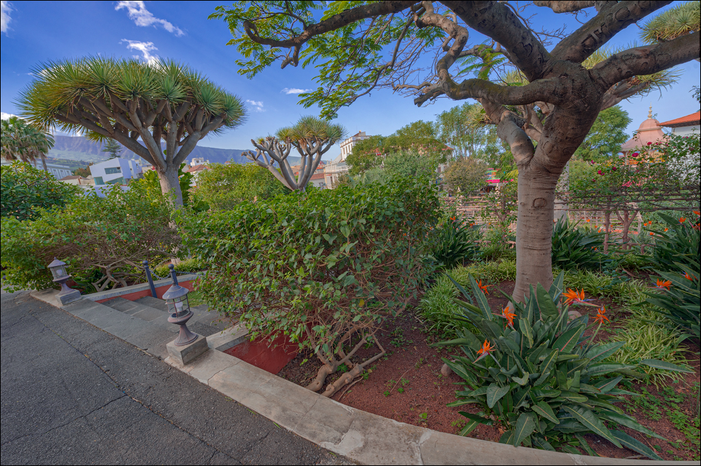 Saint Augustine 30dec2023 109