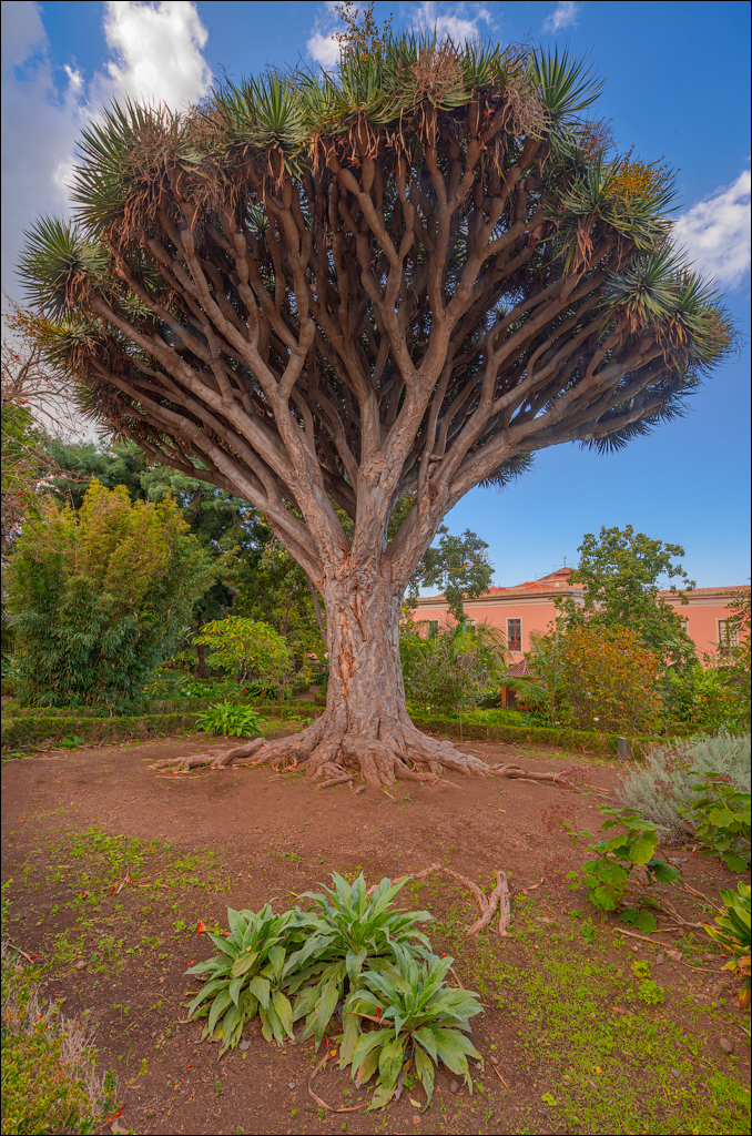 Saint Augustine 30dec2023 128