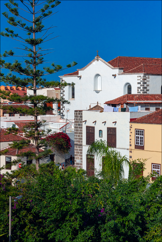 GarachicoLosVinos 31dec2023 110