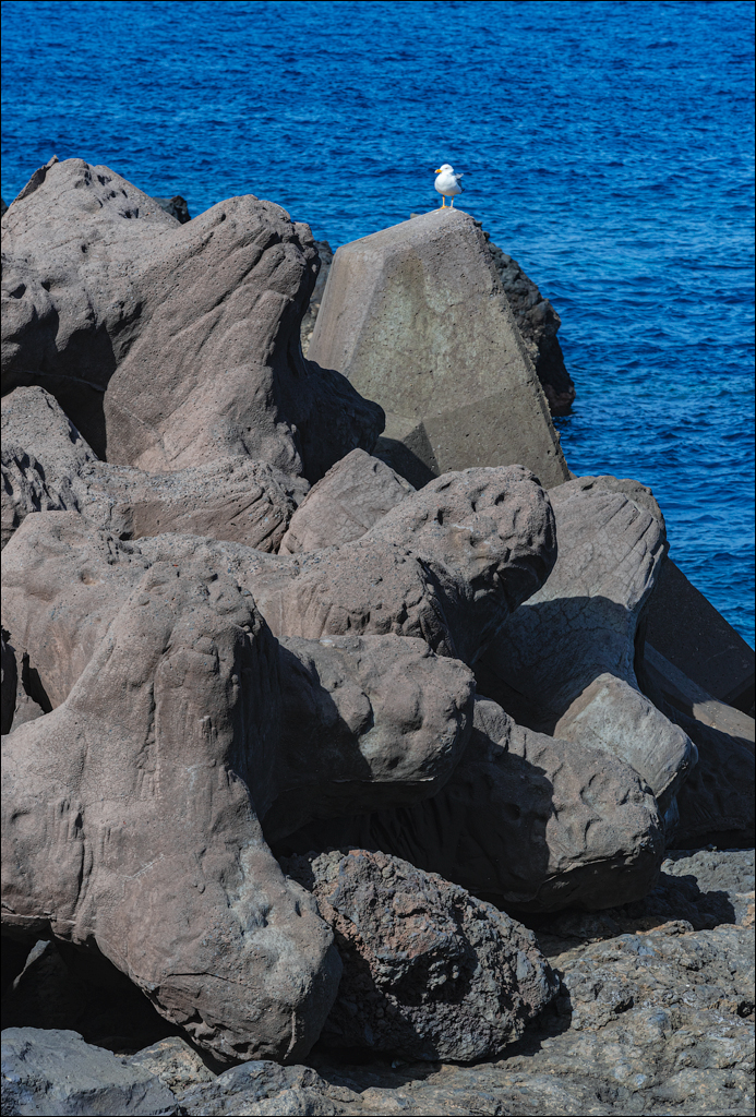 GarachicoLosVinos 31dec2023 114