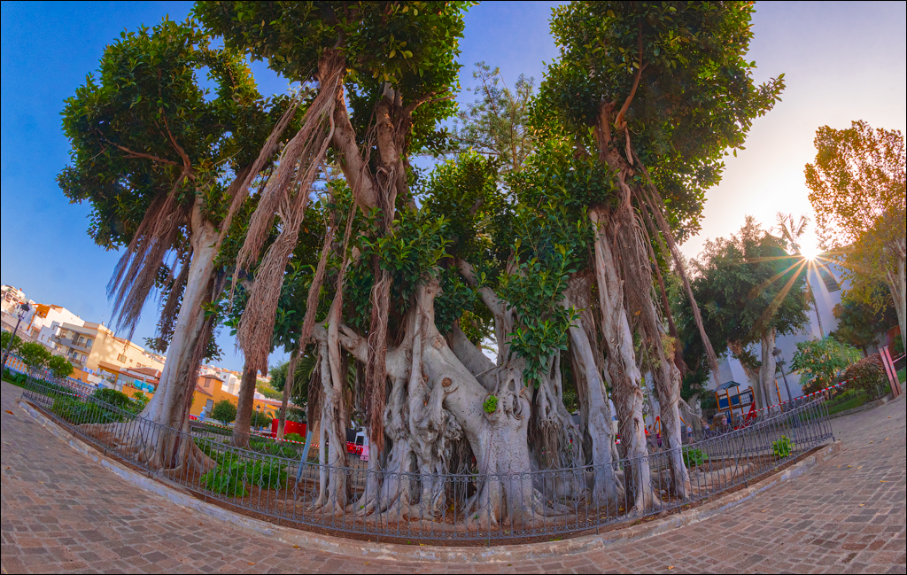 GarachicoLosVinos 31dec2023 142