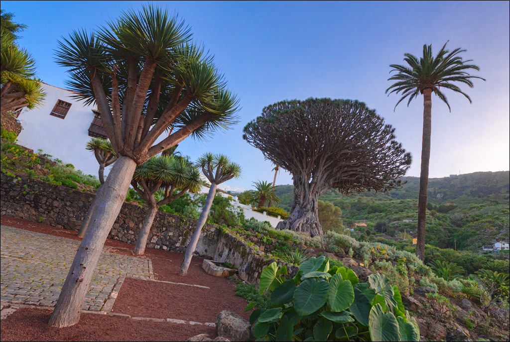 GarachicoLosVinos 31dec2023 146