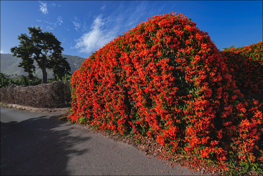 PiscinasElGuindaste PlayaLosRoques 01jan2023 101