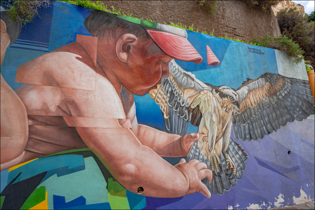 LosGigantes 03jan2023 131