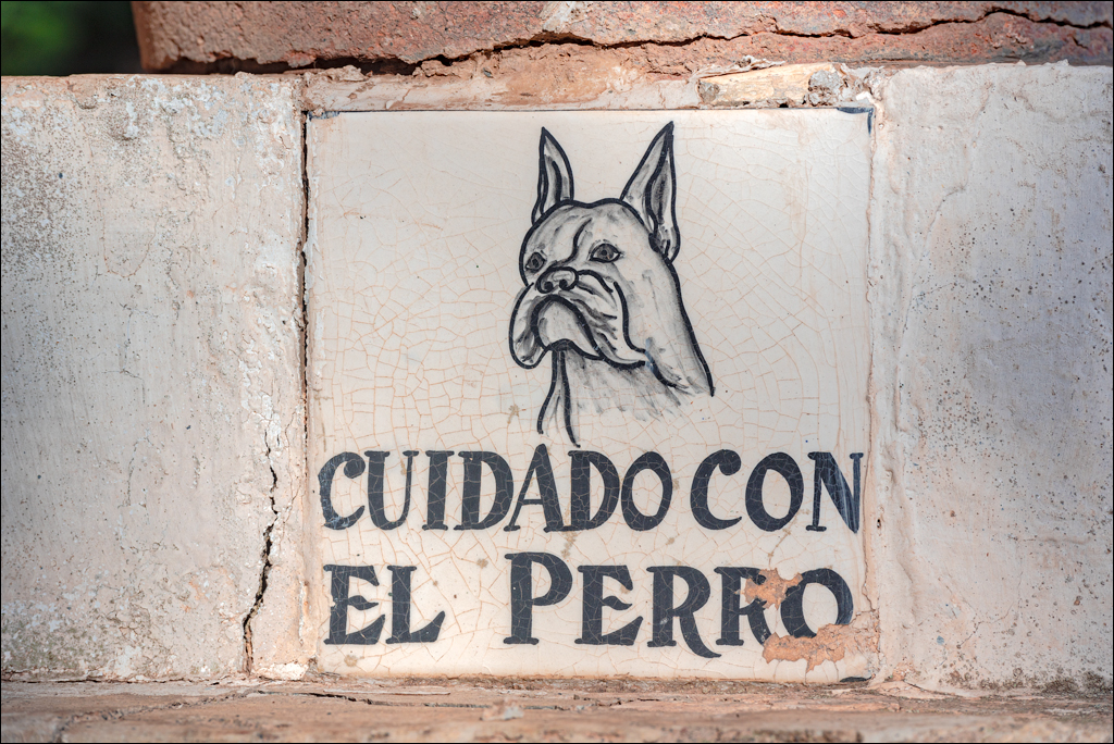 SanCristobalDeLaLaguna 06jan2023 126