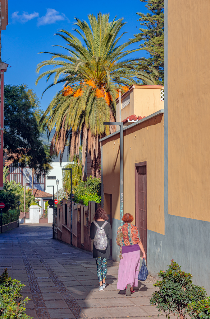 SanCristobalDeLaLaguna 06jan2023 142